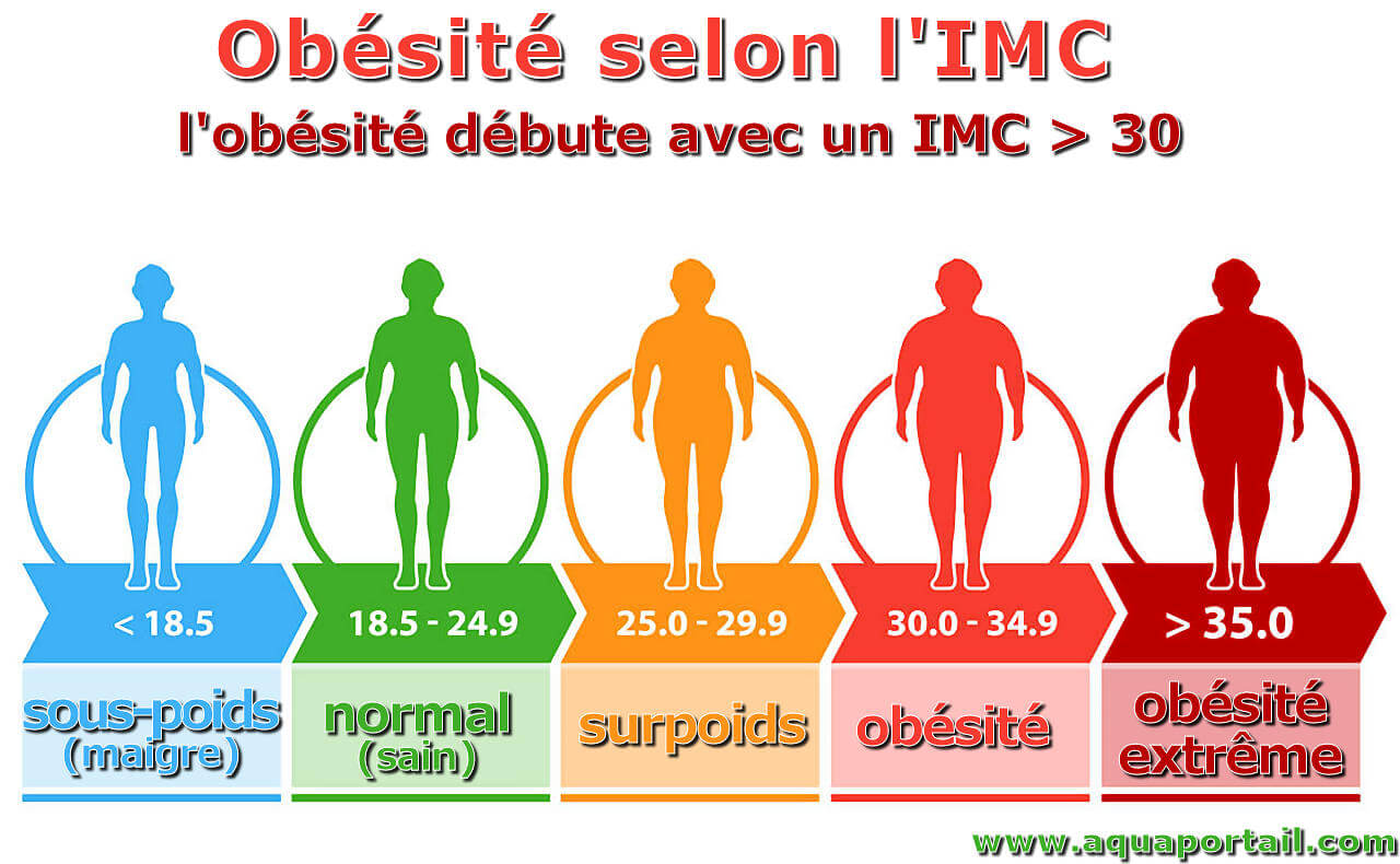 Projet 1